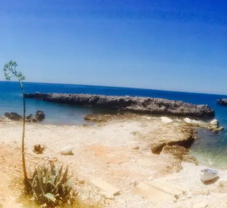 ベッド・アンド・ブレックファスト La Terrazza Di San Vito