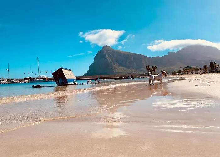 La Terrazza Di San Vito לינה וארוחת בוקר סן ויטו לו קאפו